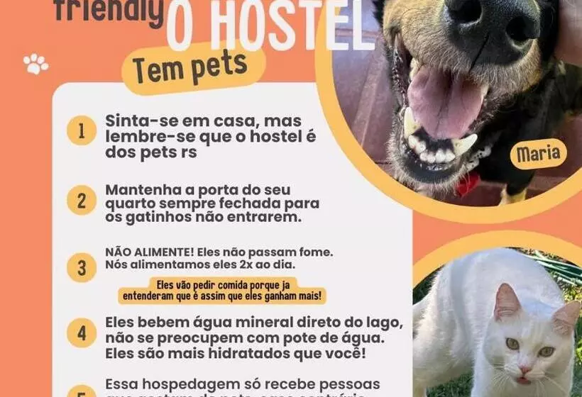 Hostel 040