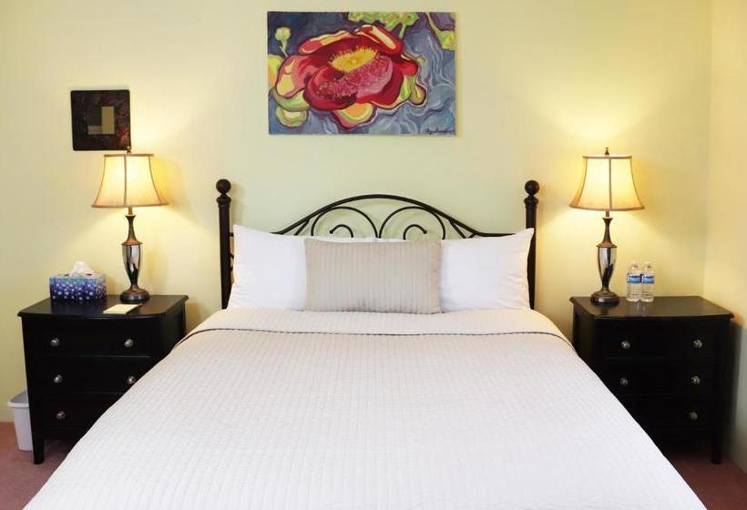 Little Paris Bed And Breakfast