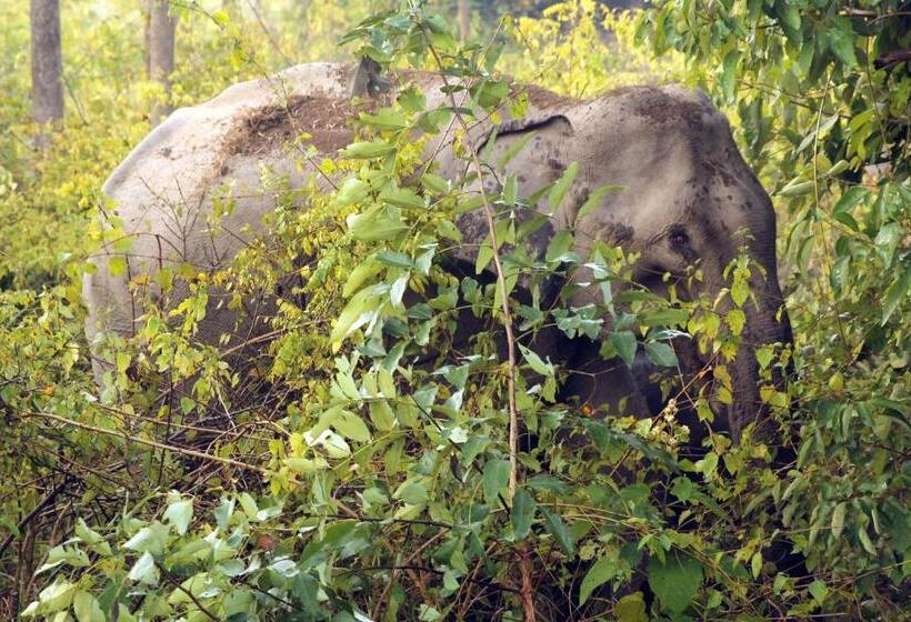 Acorn Hideaway Resort & Spa