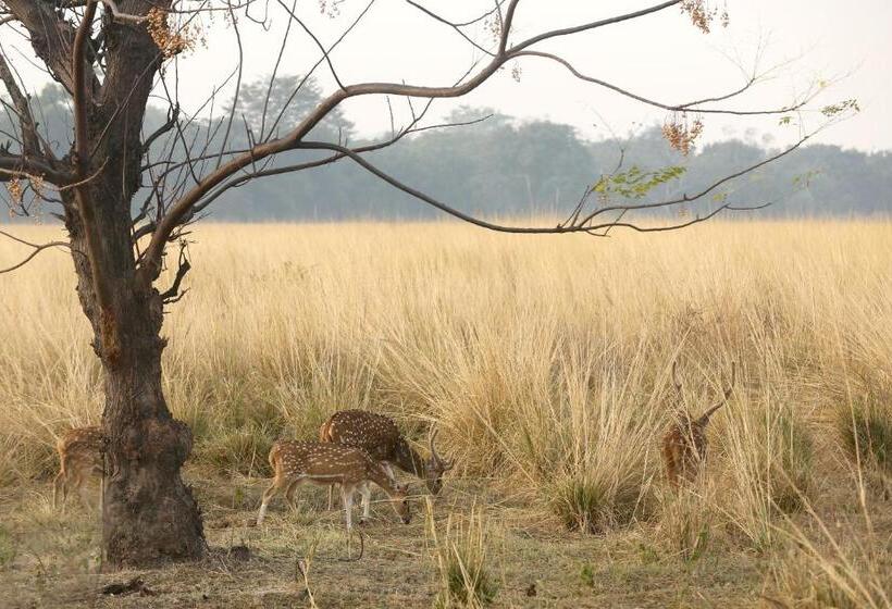 Acorn Hideaway Resort & Spa