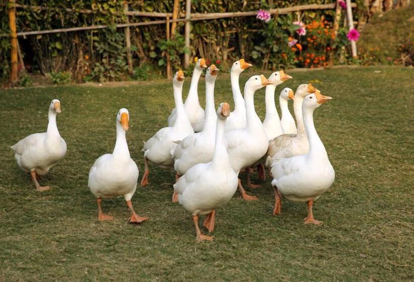 Acorn Hideaway Resort & Spa