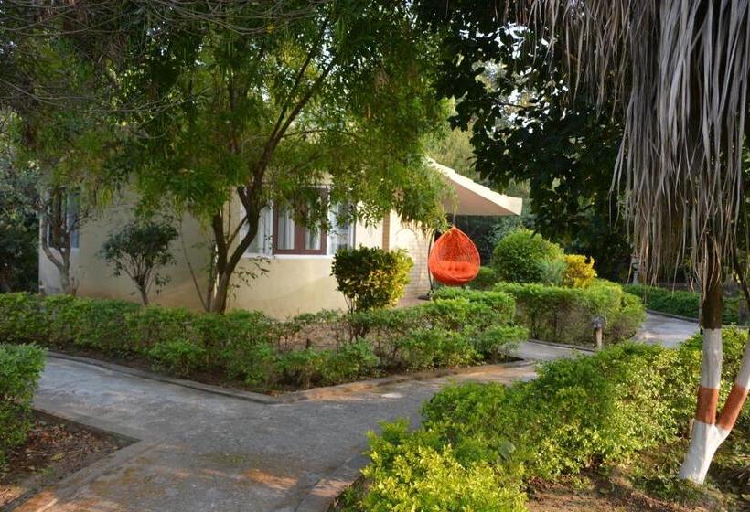 Acorn Hideaway Resort & Spa