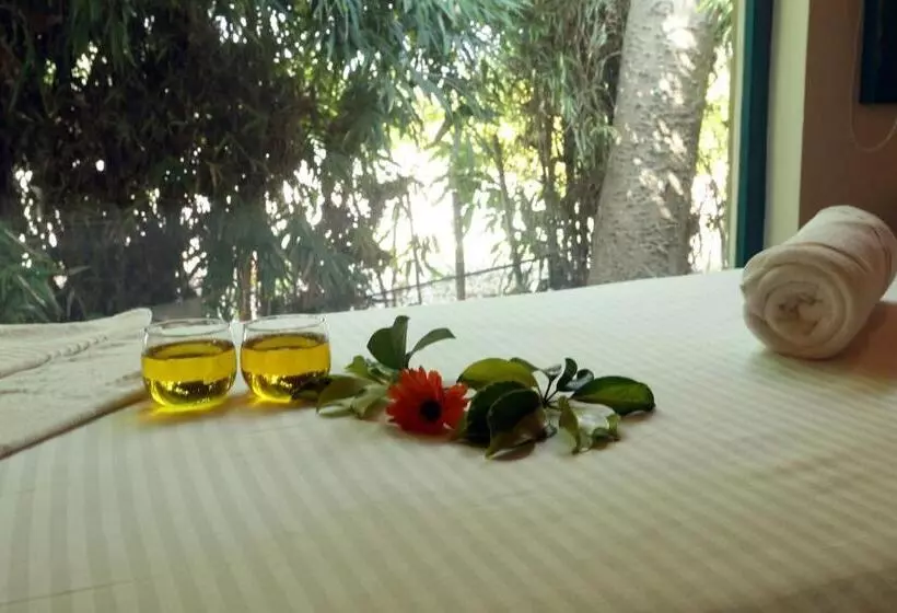Acorn Hideaway Resort & Spa
