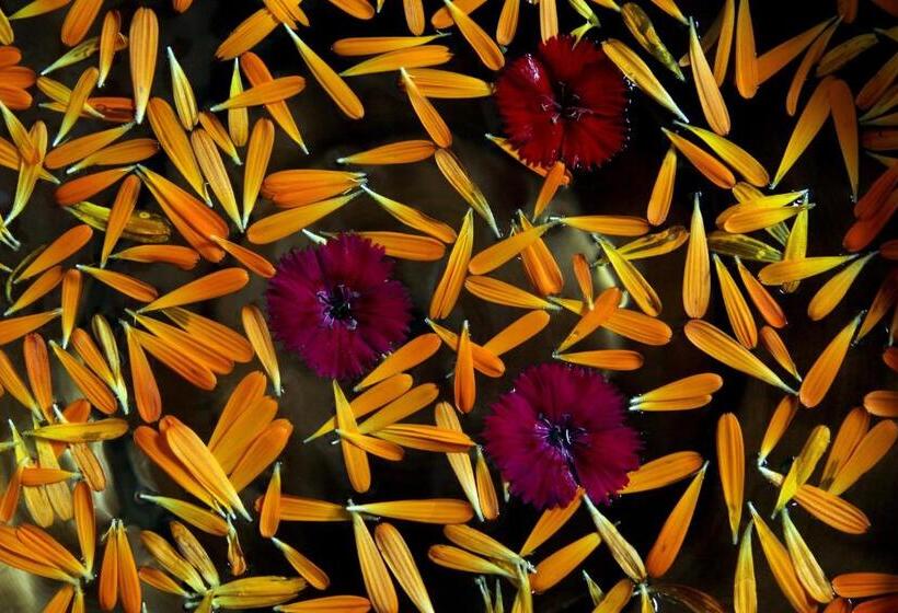 Acorn Hideaway Resort & Spa