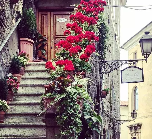 تختخواب و صبحانه La Scala Fiorita