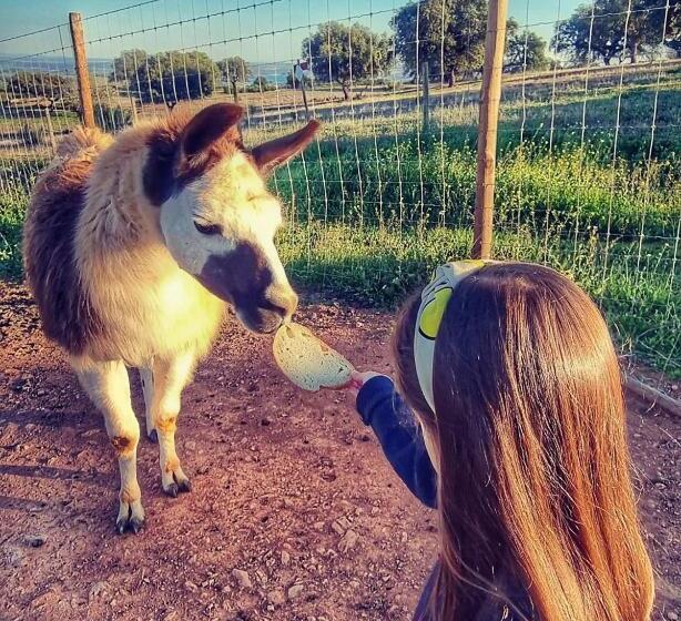 住宿加早餐  Monte Santa Catarina