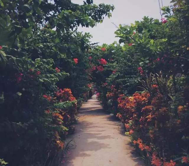 Gipsy Resort