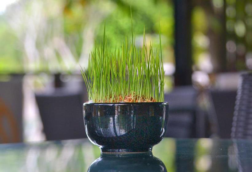 בית מלון כפרי Trumbu Nusa