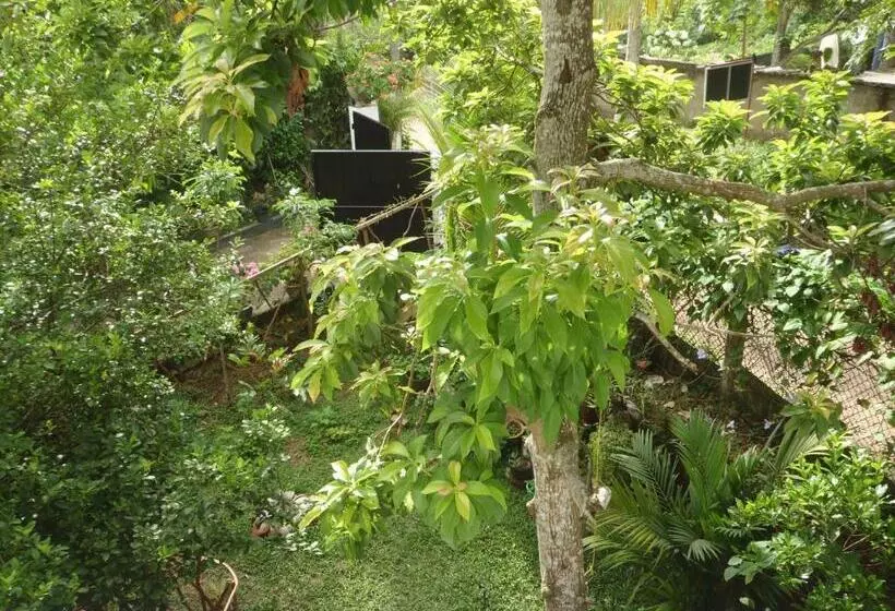 Aamiaismajoitus (B&B) New Jaya Villa