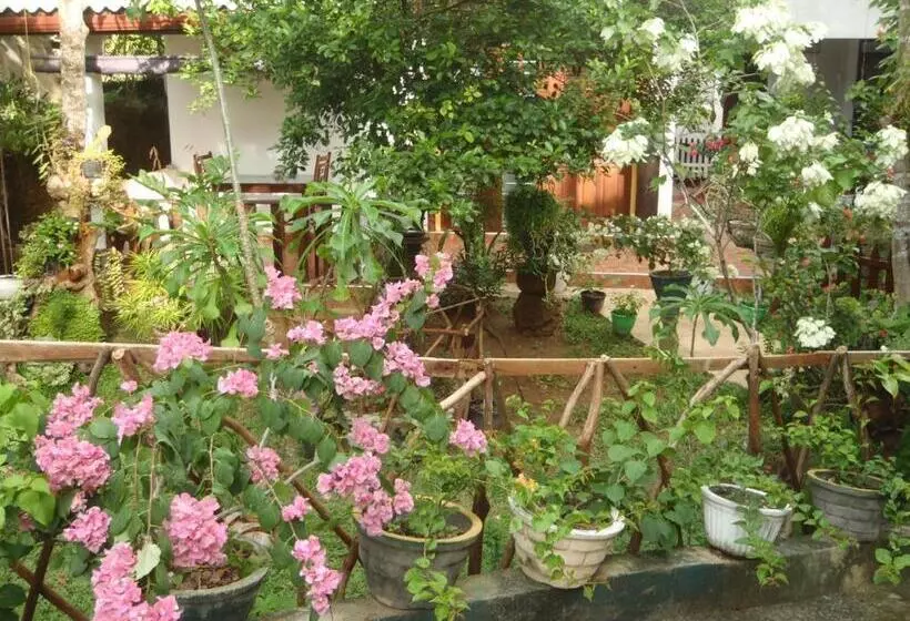 Aamiaismajoitus (B&B) New Jaya Villa