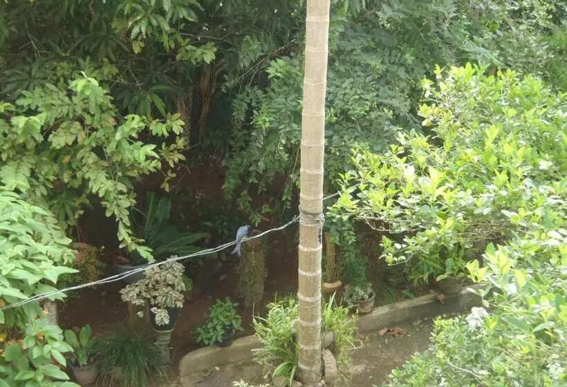 Aamiaismajoitus (B&B) New Jaya Villa