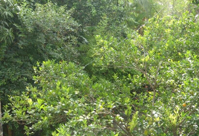 مبيت وإفطار New Jaya Villa