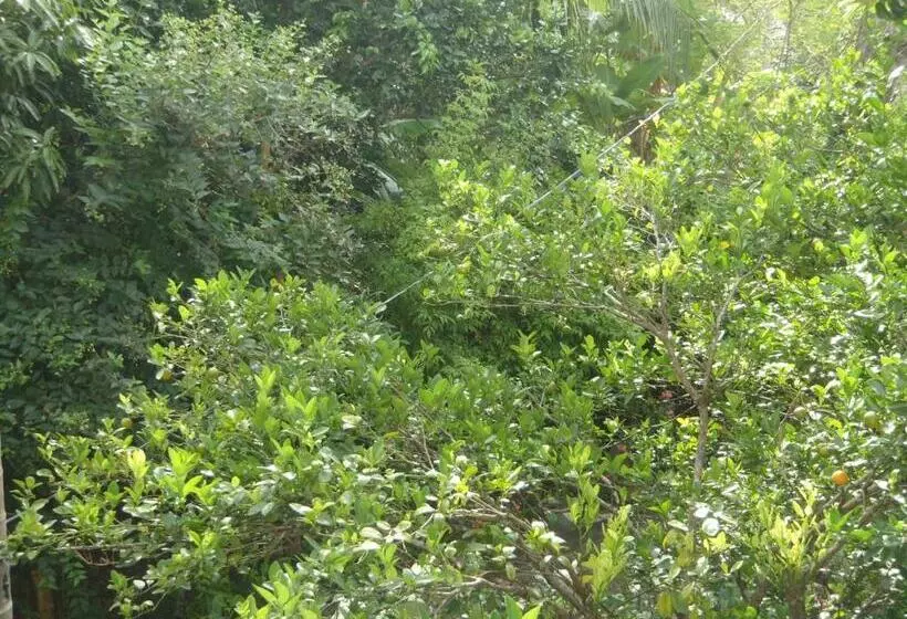 Aamiaismajoitus (B&B) New Jaya Villa