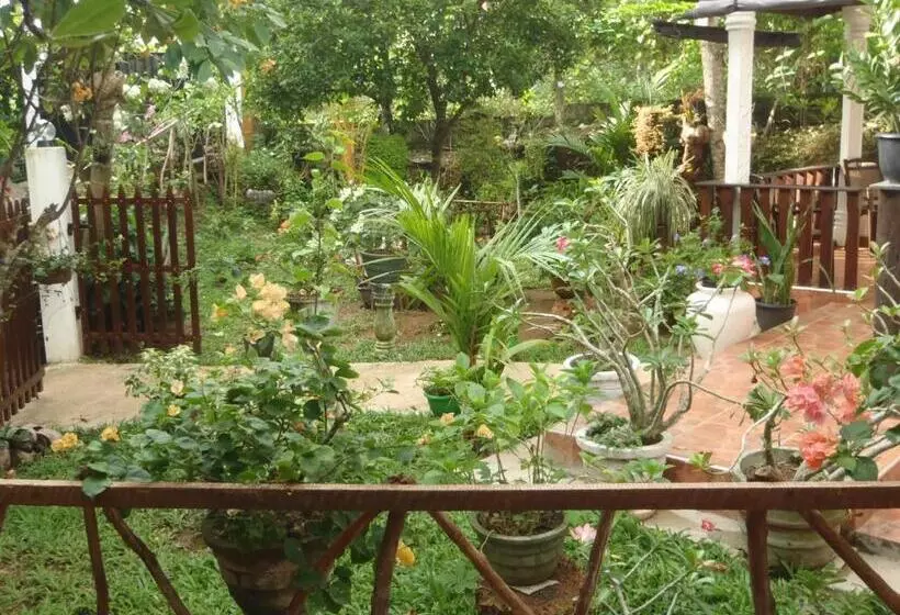 Aamiaismajoitus (B&B) New Jaya Villa