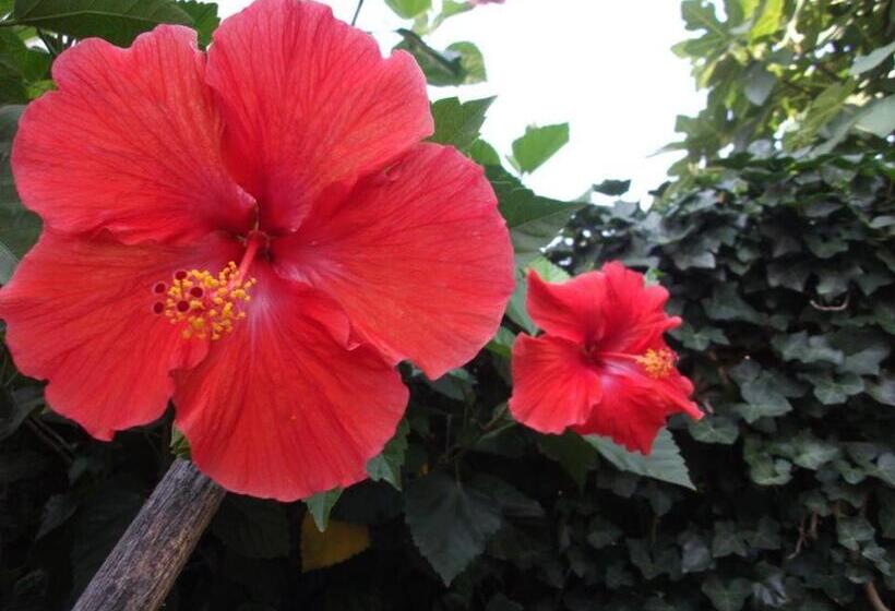 فندق House Of Tonga