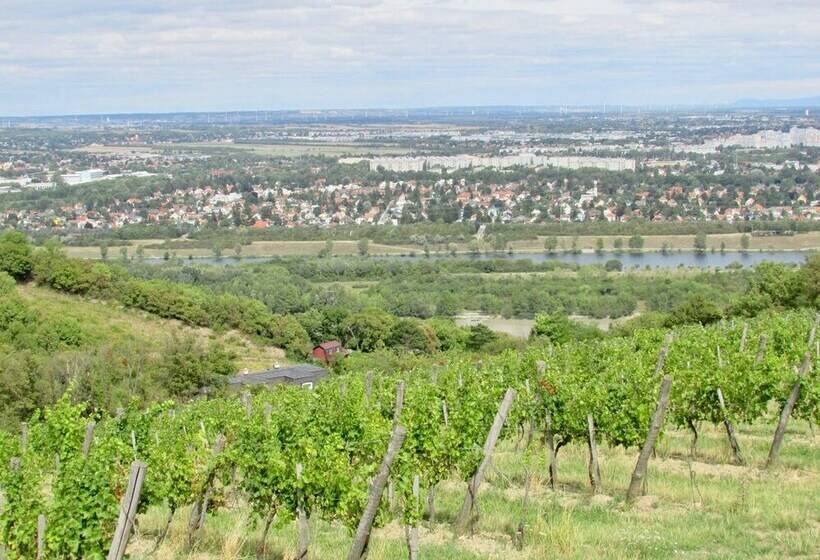 ホテル L Hôtel Du Café Des Arts