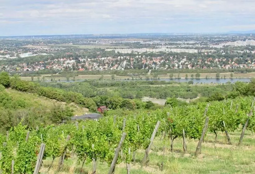 Hotelli L Hôtel Du Café Des Arts