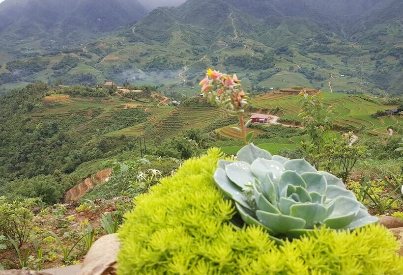 هتل Sapa Clay House  Mountain Retreat