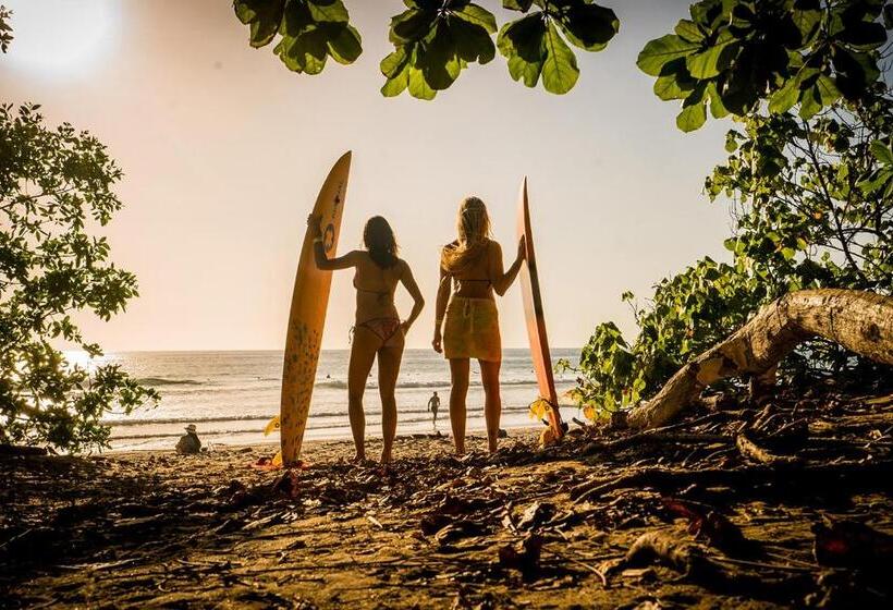 فندق Selina Santa Teresa North Hostel