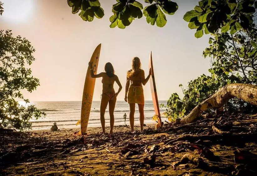 ホテル Selina Santa Teresa North   Hostel