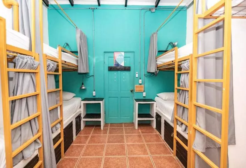 ホテル Selina Santa Teresa North   Hostel