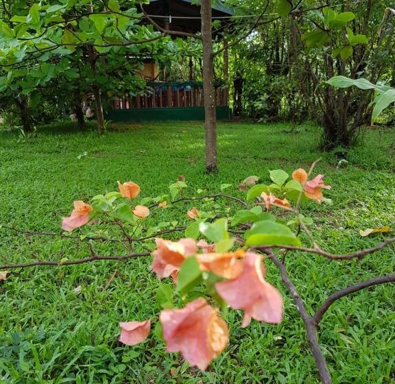 בית מלון כפרי Sigiri Heritage Villa