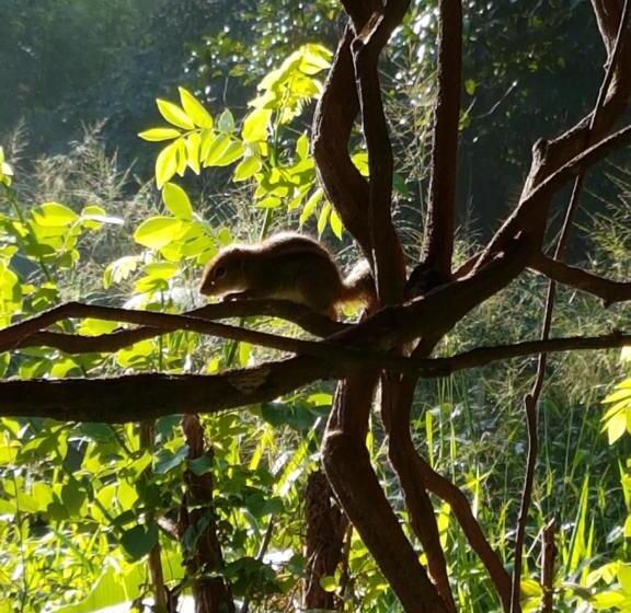 בית מלון כפרי Sigiri Heritage Villa