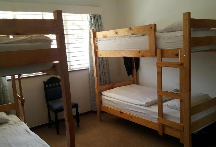 הוסטל George Backpackers