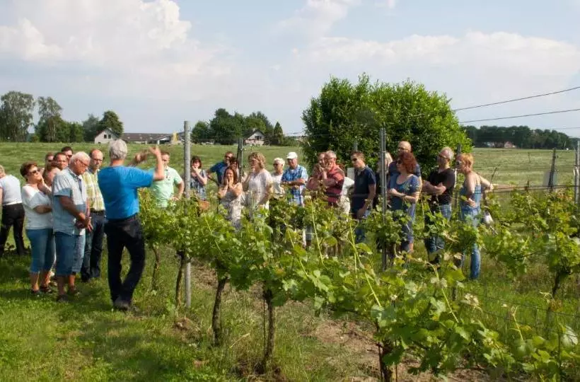 تختخواب و صبحانه Klein Amerika