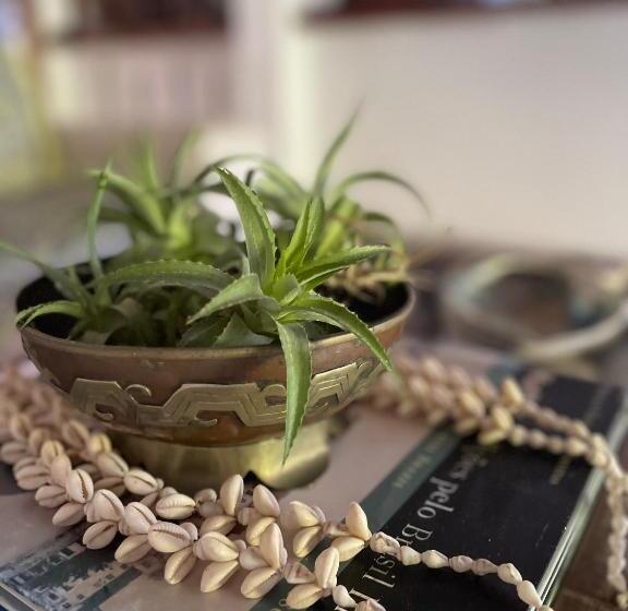 Bed & Breakfast Yucca Pousada