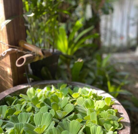 Bed & Breakfast Yucca Pousada