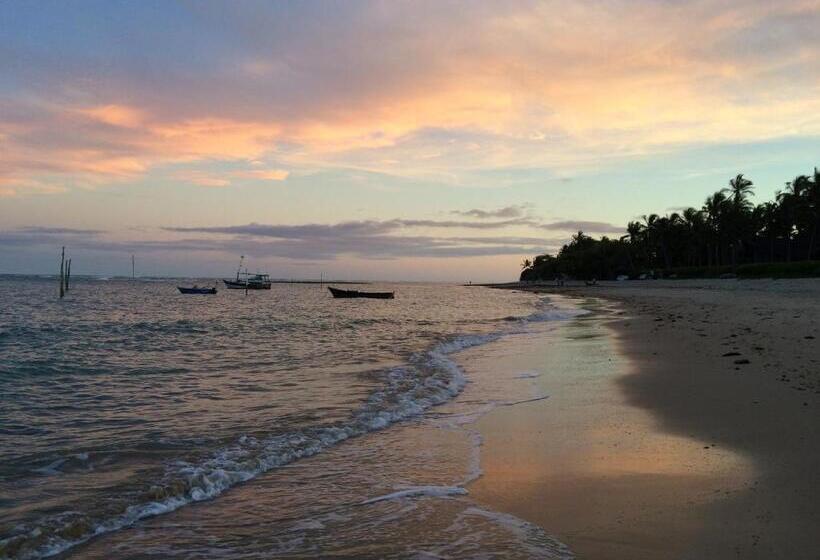 Bed & Breakfast Yucca Pousada