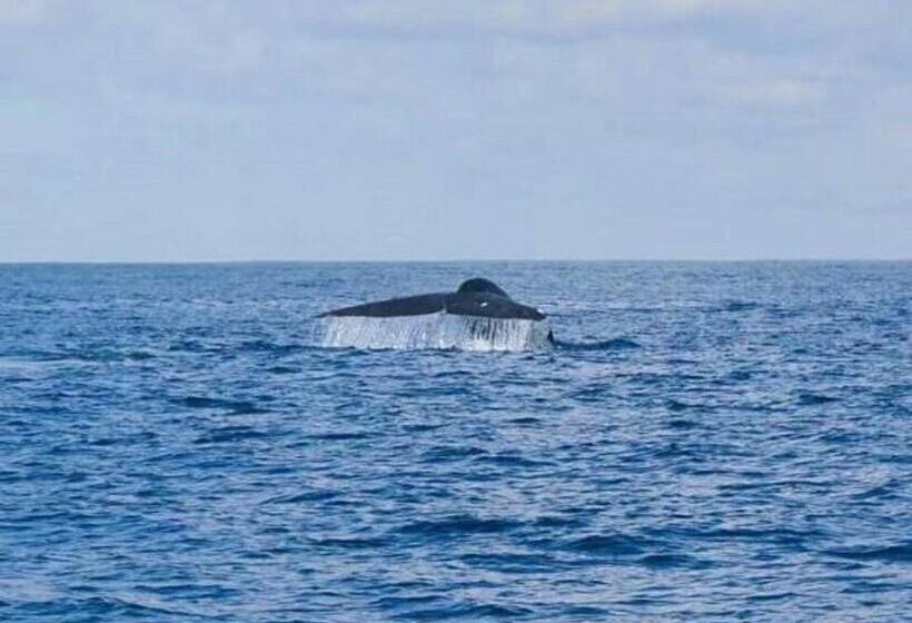 ホテル Gg Lodge Mirissa