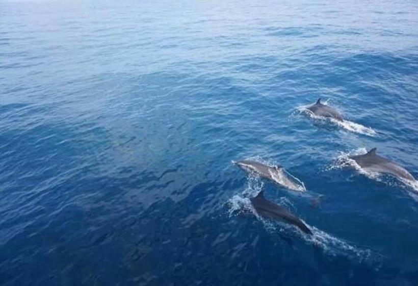 ホテル Gg Lodge Mirissa