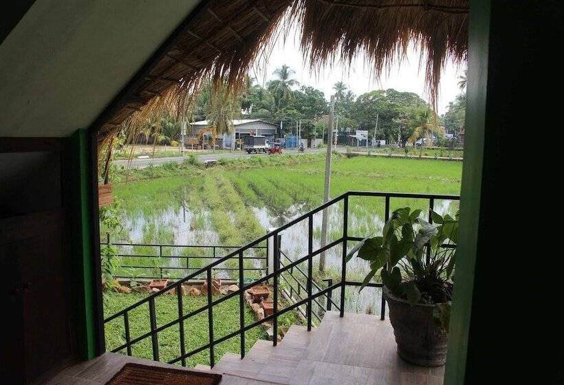 Bed and Breakfast Yalabnb