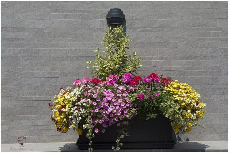 Hotelli Pensiunea Nora Prestige