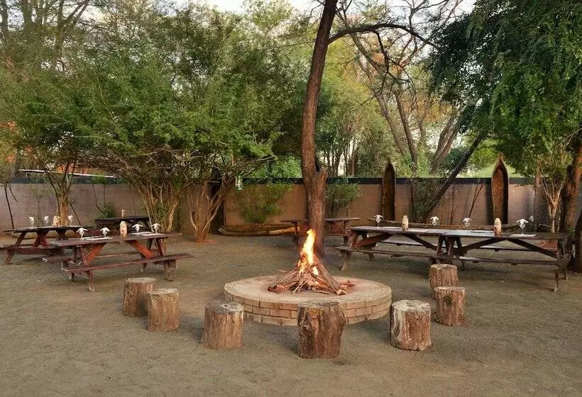 هتل Thebe River Safaris