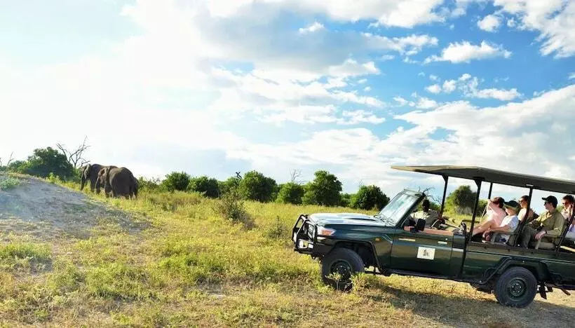 هتل Thebe River Safaris