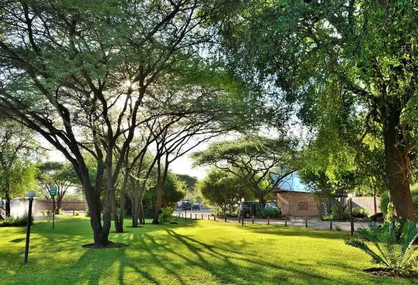 هتل Thebe River Safaris