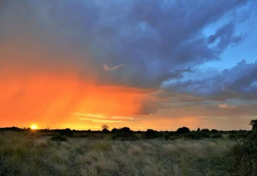 هتل Thebe River Safaris