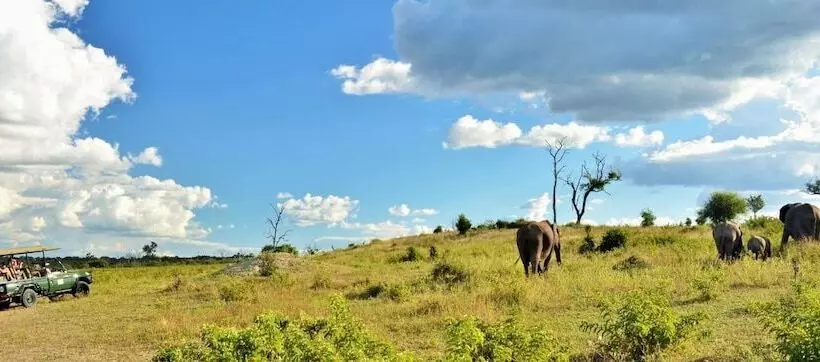 هتل Thebe River Safaris