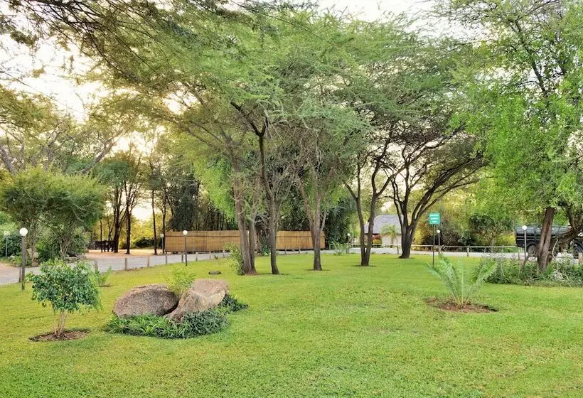 هتل Thebe River Safaris