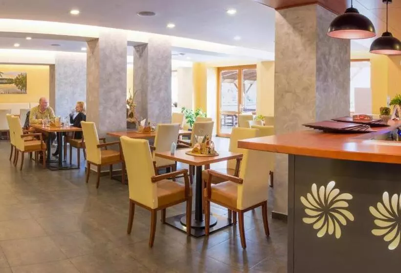 ホテル &wellness Knížecí Rybník