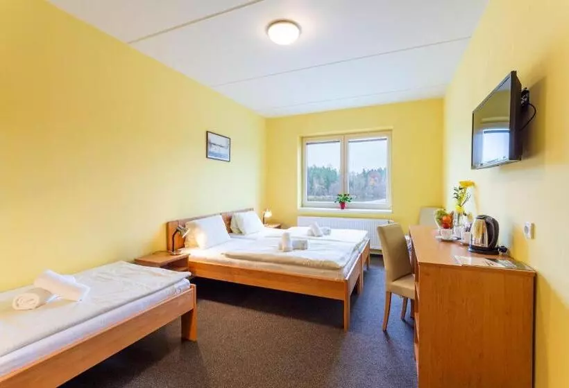 ホテル &wellness Knížecí Rybník