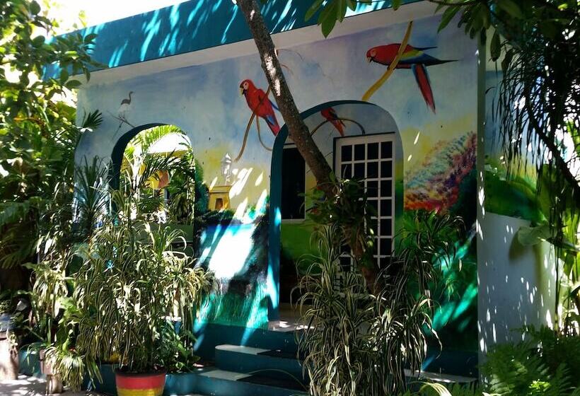 Rancho Tranquilo Hostel