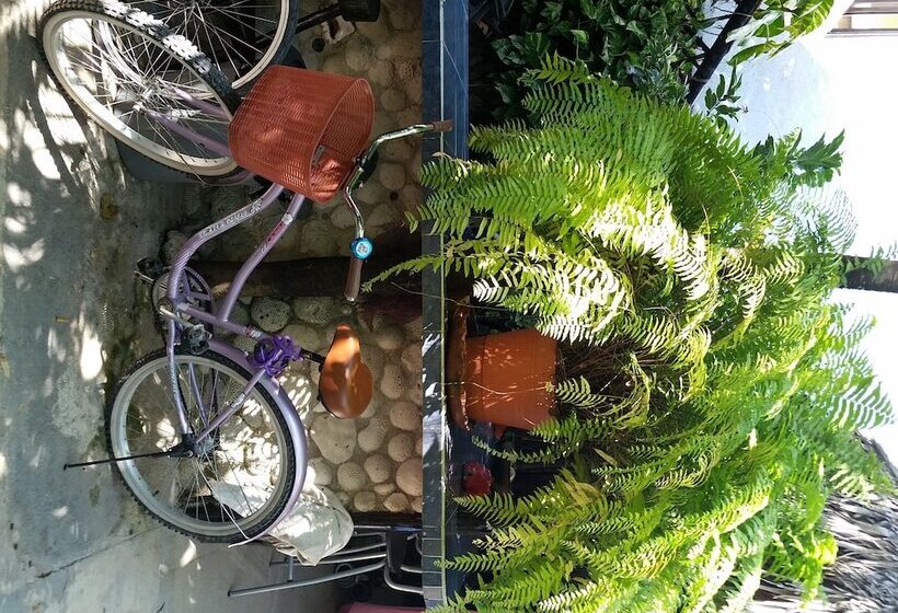 Rancho Tranquilo Hostel