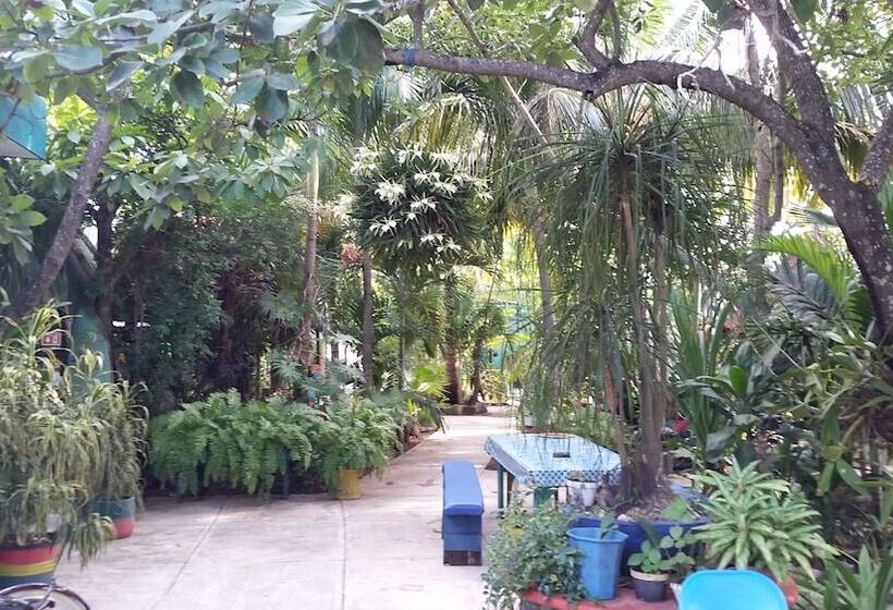 Rancho Tranquilo Hostel