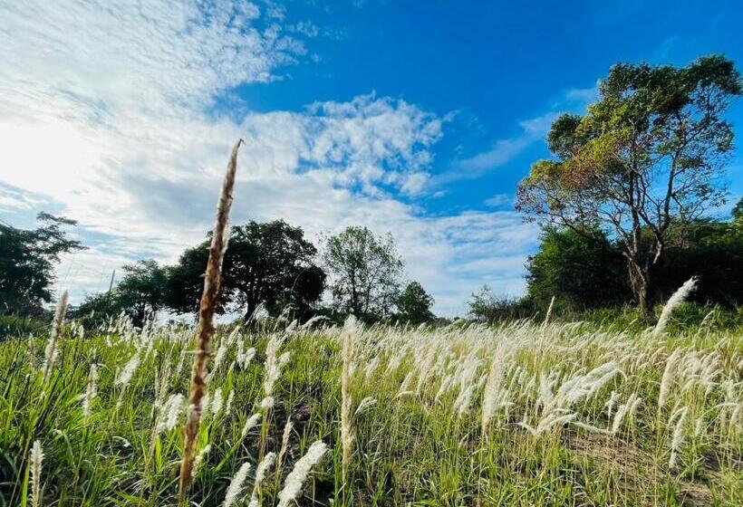 Resort Birdwing Sigiriya