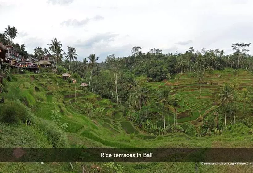Hotelli Zen Rooms Cemara Bedugul