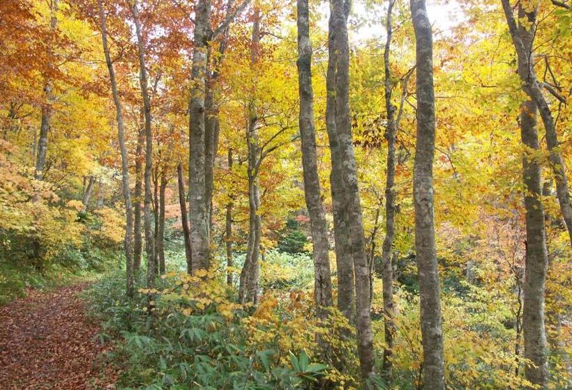 Рёкан 伊藤屋